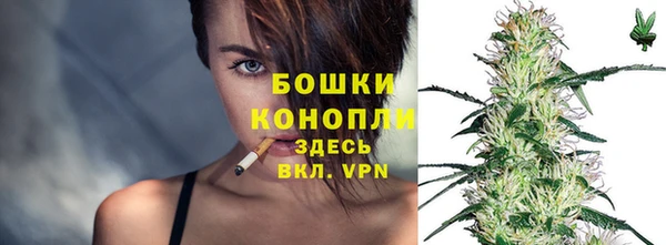 прущий лед Рославль