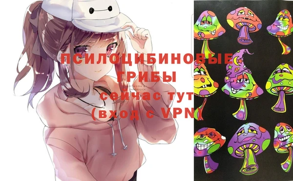 дмт Россошь