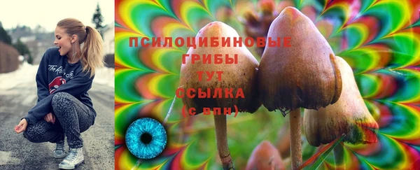 дмт Россошь